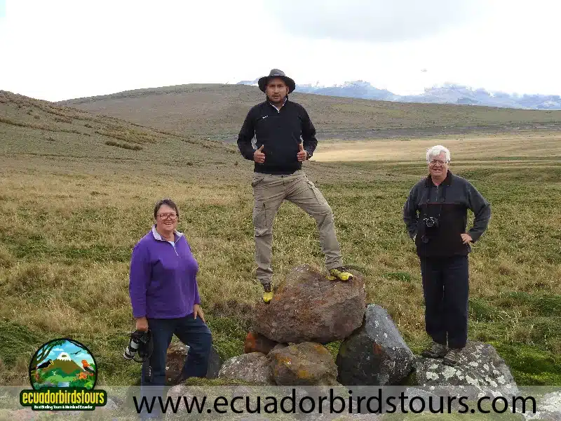 birdwatching tours in ecuador by ecuador birds tours 1 917c0760