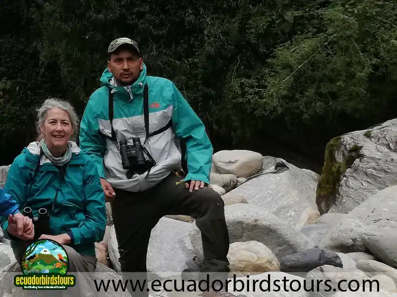 birdwatching tours in ecuador by ecuador birds tours 2 512d8abc
