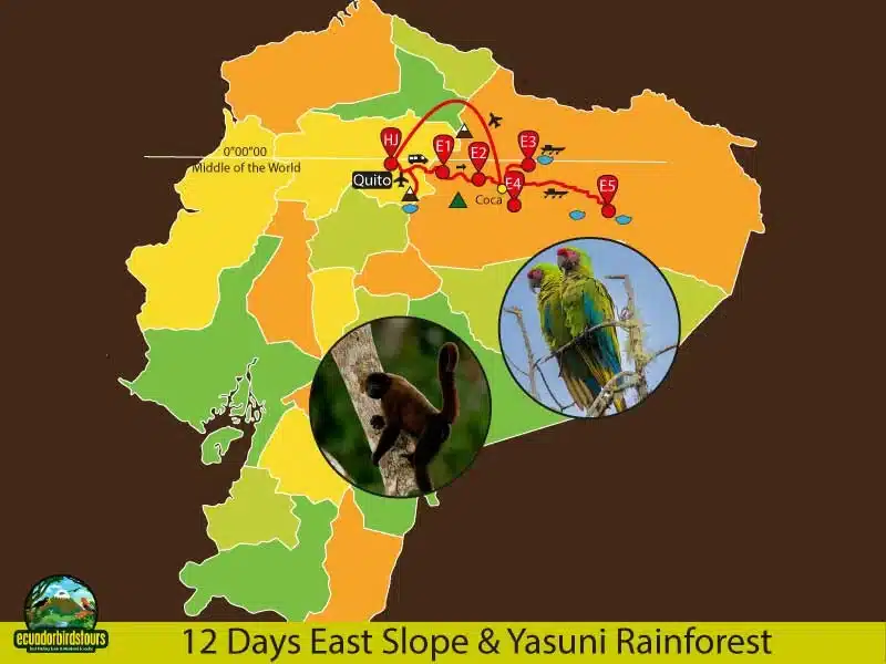 12 days birding in ecuador map by ecuador birds tours ed03beae