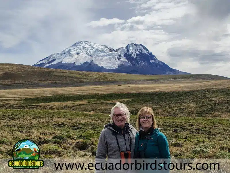 12 days birding photo tour in ecuador antisana by ecuador birds tours 54d26112