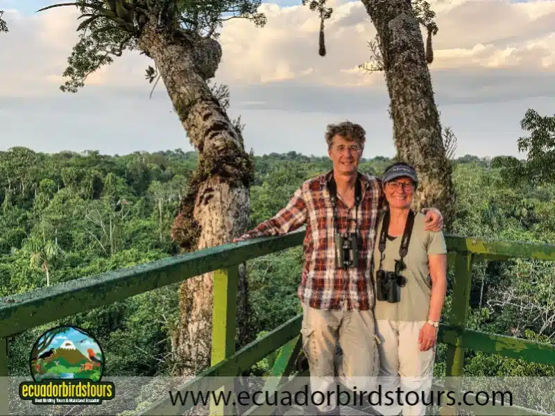 12 days birding photo tour in ecuador napo wildlife center by ecuador birds tours b157f680