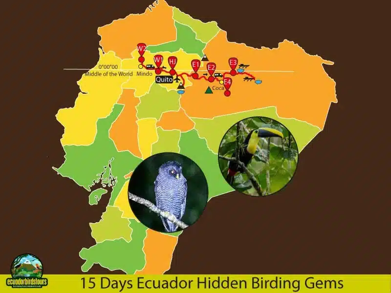 15 days birding in ecuador map by ecuador birds tours 143b1c19