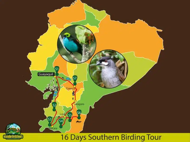16 days birding in ecuador map by ecuador birds tours db53261a