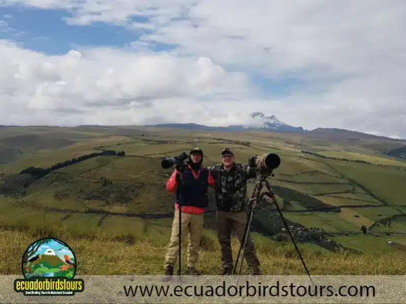 3 days intro bird tour by birding photo tours ecuador 2 84bbdc44