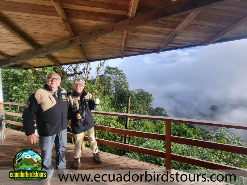 3 days intro bird tour by birding photo tours ecuador 5 05d53392