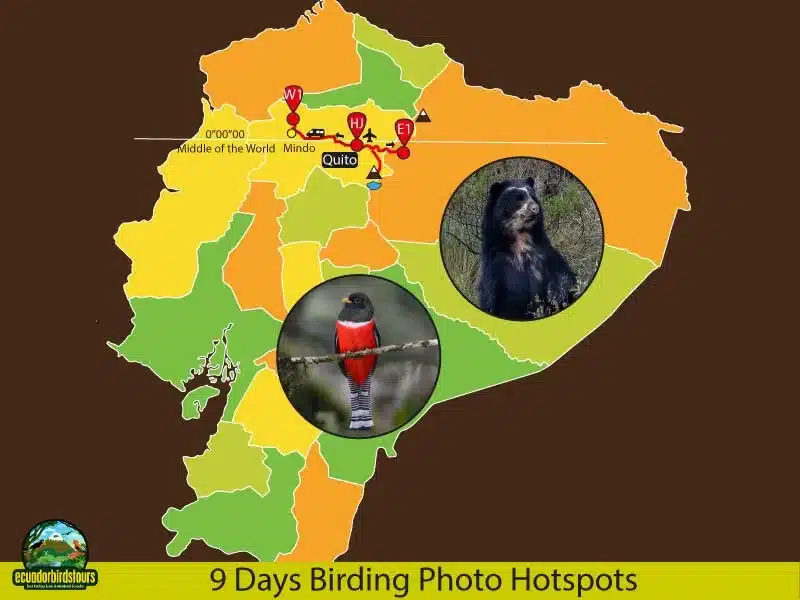 9 days birding in ecuador map by ecuador birds tours b09362ff