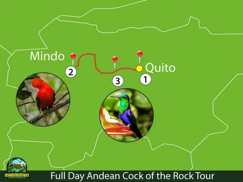 andean cock of the rock birding map df514b48