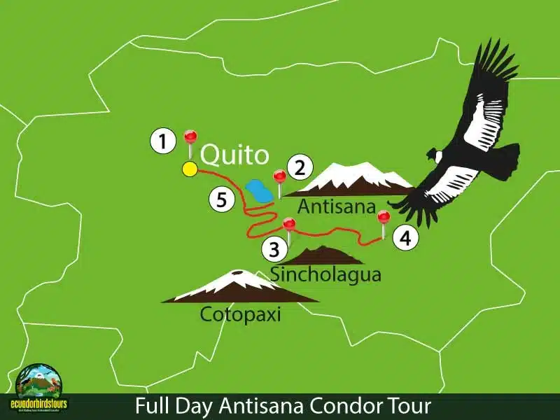 antisana condor reserve birding map 59008185