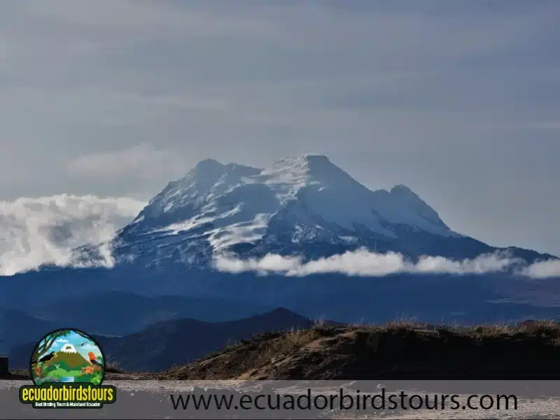 antisana condor reserve by ecuador birds tours 6 51baed2e