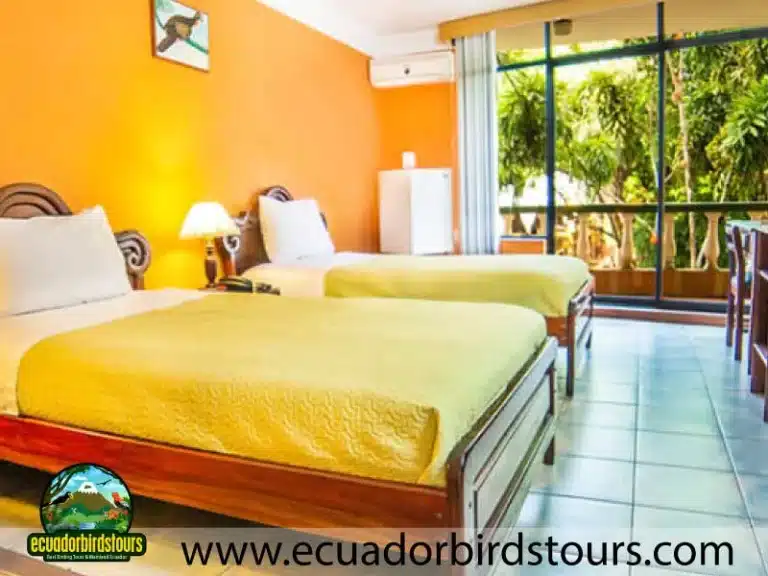auca hotel coca by ecuador birds tours 3cf12e80