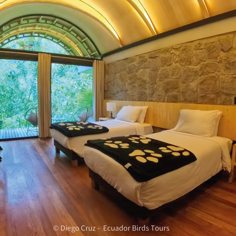 best bird lodges in ecuador by ecuador birds tours guango lodge
