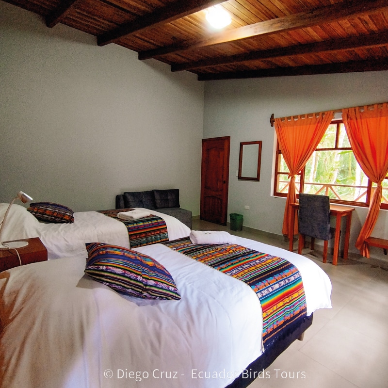 best bird lodges in ecuador by ecuador birds tours quijos lodge