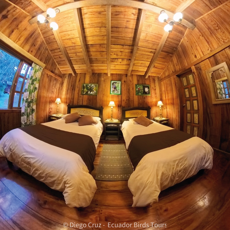 best bird lodges in ecuador by ecuador birds tours sachatamia lodge