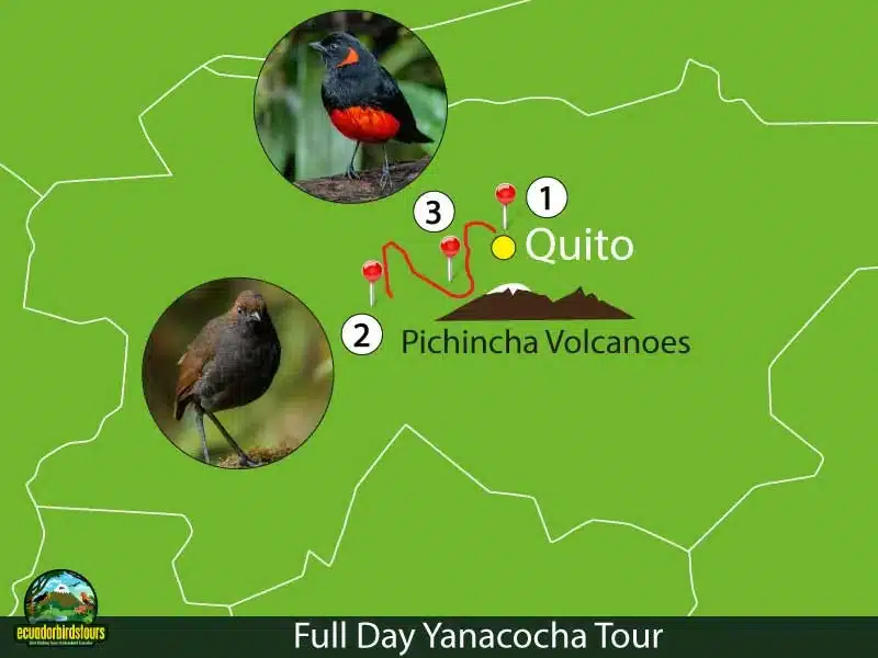 birding map yanacocha tour by ecuador birds tours cd3f30c2