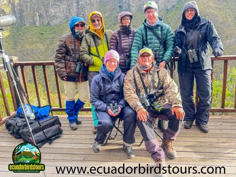 birding photography tours in ecuador andree 7d047eab