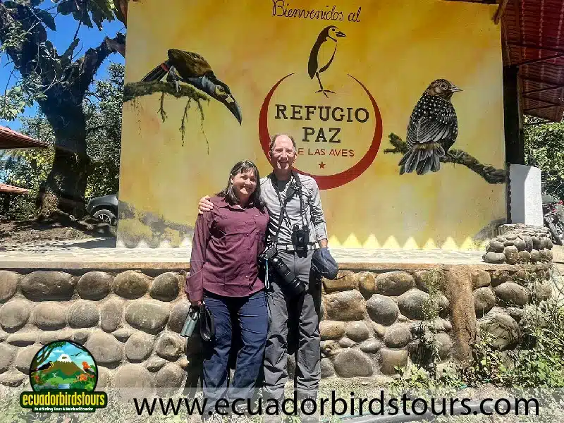 birding photography tours in ecuador by ecuador birds tours 8fd7e412