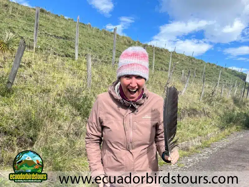 birding photography tours in ecuador by ecuador birds tours 1 737d419f