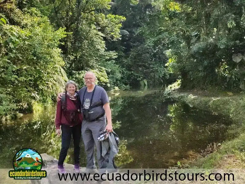 birding photography tours in ecuador by ecuador birds tours mesa de trabajo 1 copia 2 9c99c7df