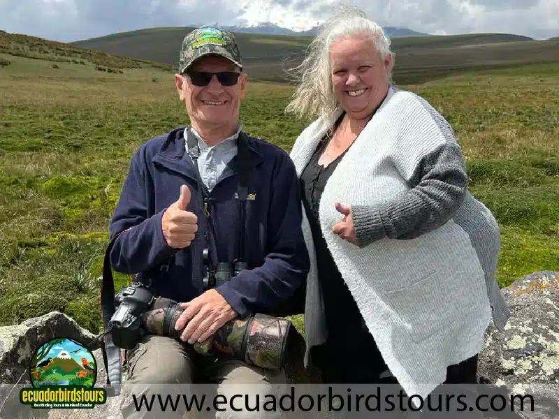 birding tours in ecuador by ecuador birds tours 9 7db8dada
