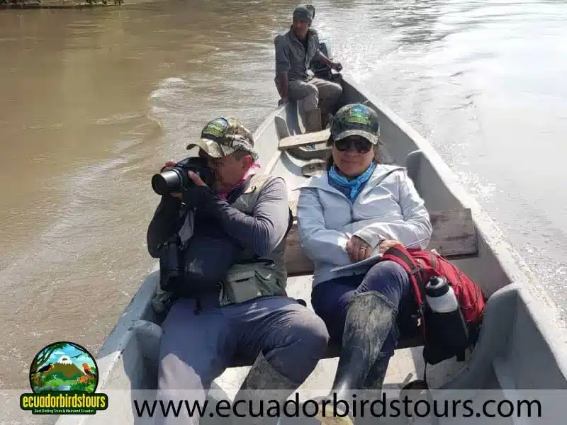 client ecuador birds tours limoncocha 78db3d62