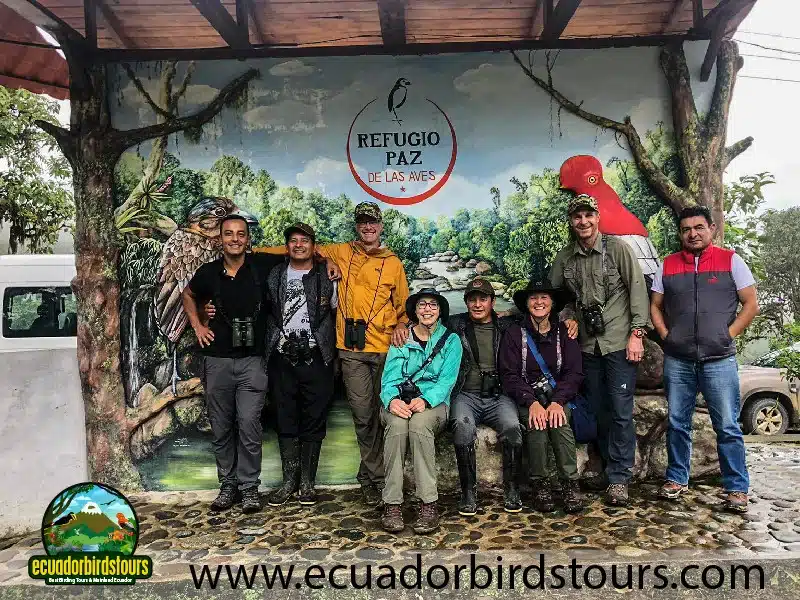 full day andean cock of the rock tour by ecuador birds tours 13 dd20370e