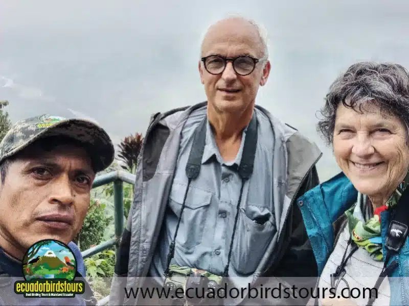 full day andean cock of the rock tour by ecuador birds tours 9 85debea4