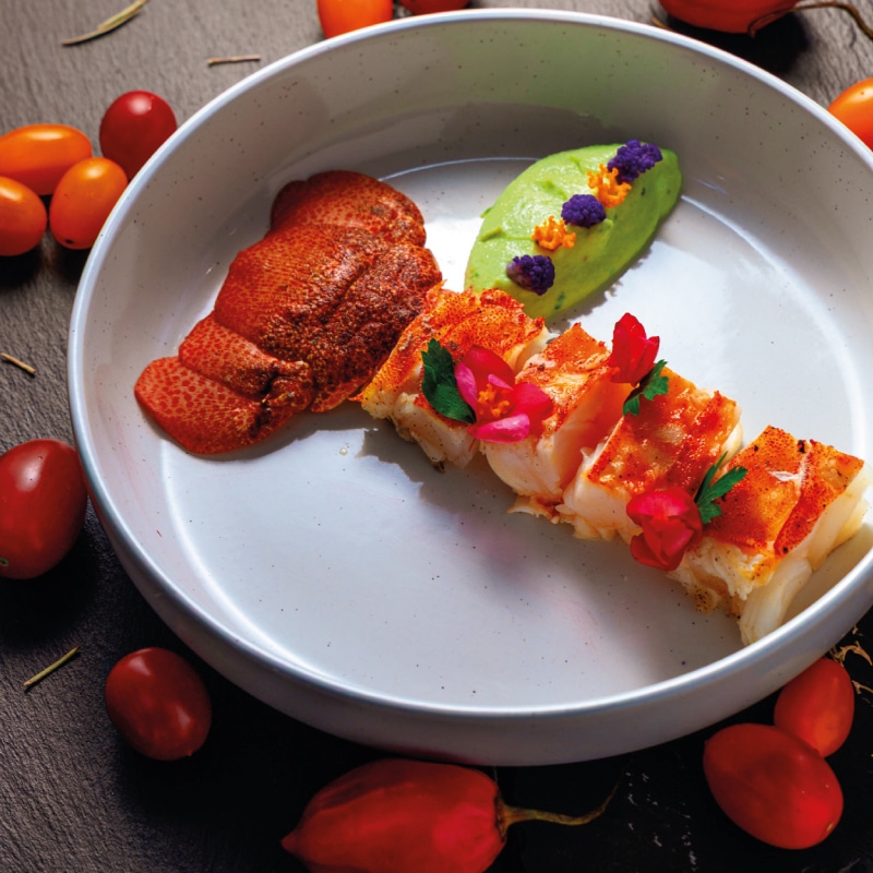 galapagos cruises alya luxury by ecuador birds tours (10)