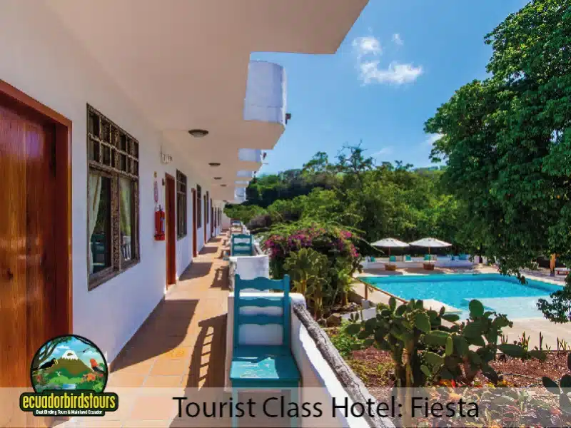 galapagos fiesta hotels c0d5d364