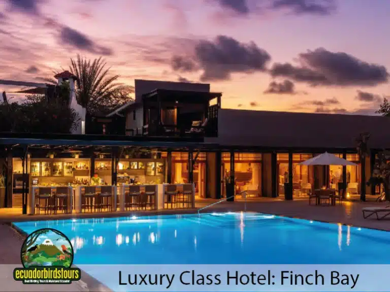 galapagos finch bay hotel 846eabfe