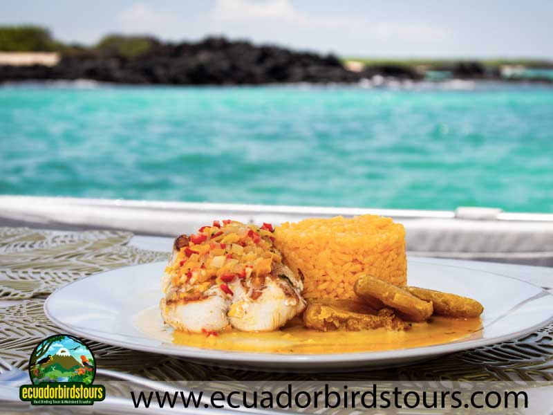 galaxy daily meals by ecuador birds tours (2)