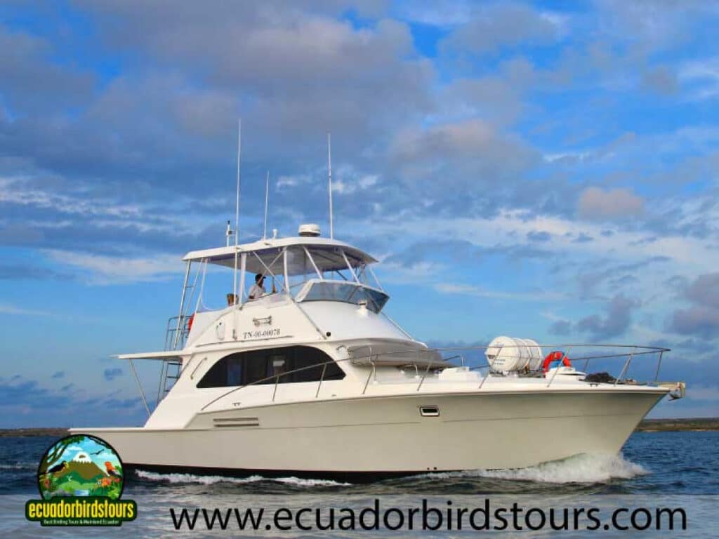 galaxy daily by ecuador birds tours (2)