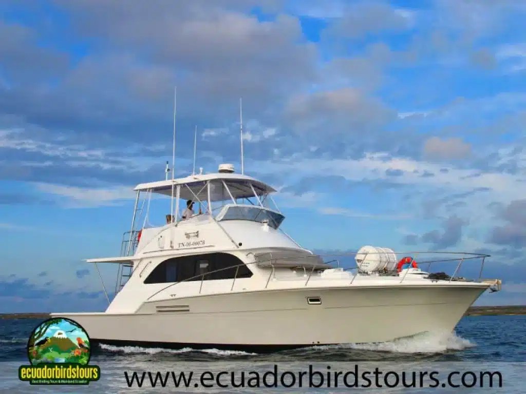 galaxy daily by ecuador birds tours 4003e6eb