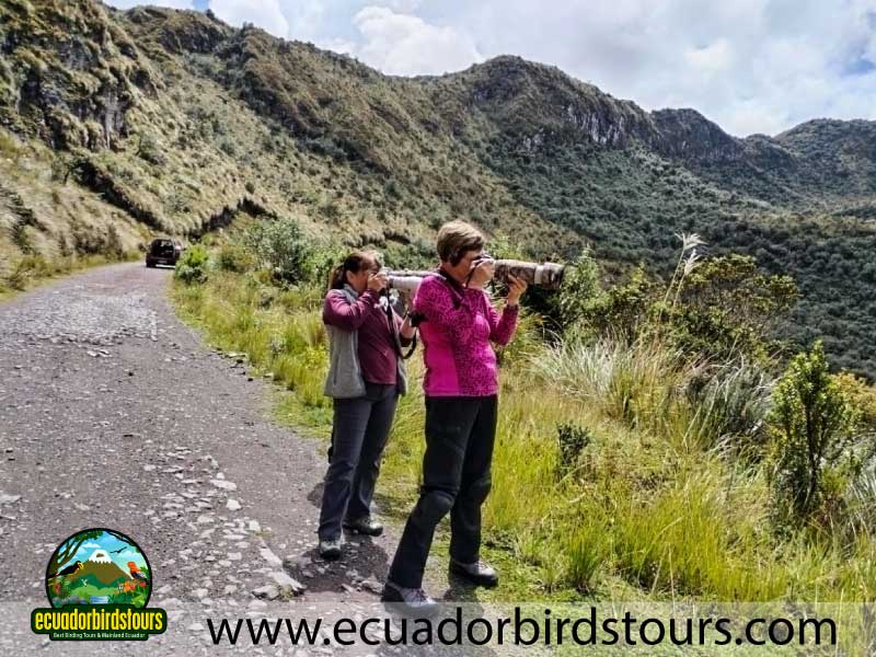 guango tour by birdwatching tours in ecuador 13
