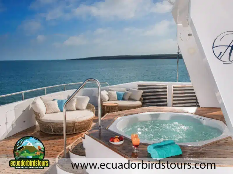 jacuzzi alya luxury galapagos cruise by ecuador birds tours 8b09c0fd