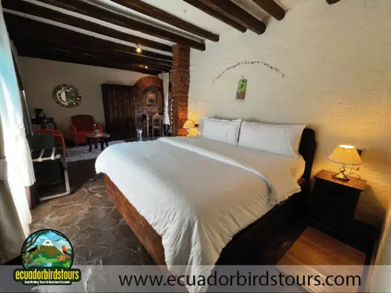 jimenita lodge birding photography tours in ecuador c16b728e