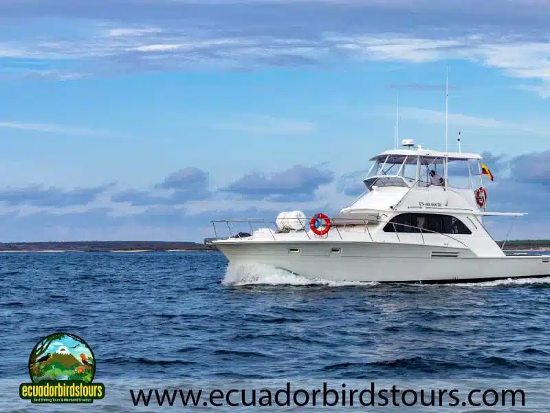 land base yatch with birding in ecuador bdebb99c