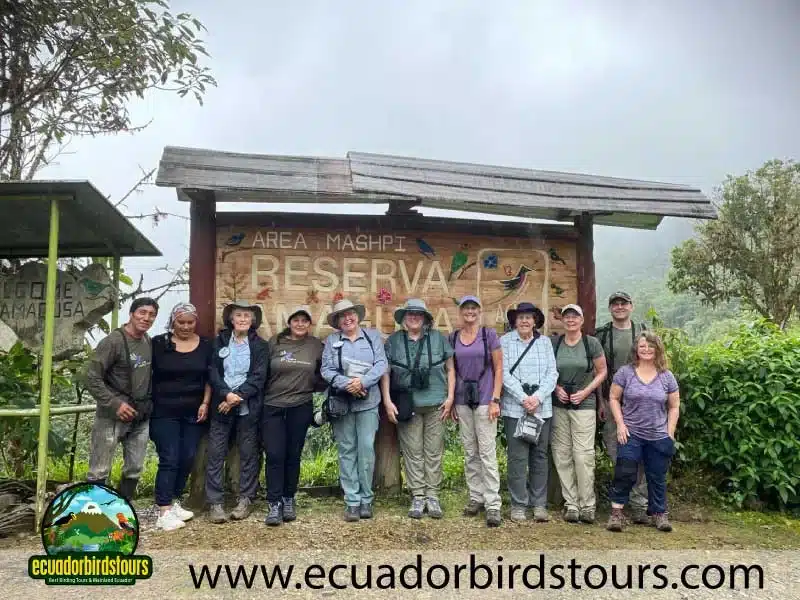 mashpi amagusa birding tour by birding photography tours in ecuador 16 1ca950ea