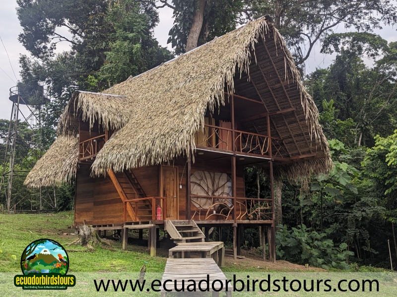 nampi birding lodges