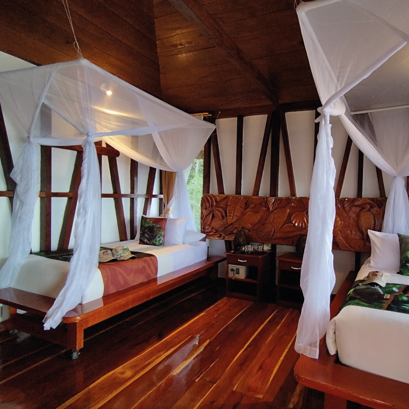 napo wildlife center amazon experience by ecuador birds tours (4)