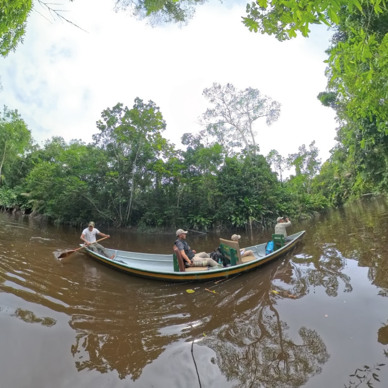 napo wildlife center amazon experience by ecuador birds tours (5)