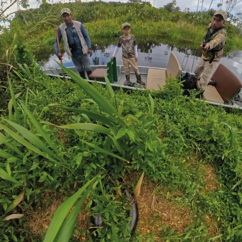 napo wildlife center amazon experience by ecuador birds tours (6)