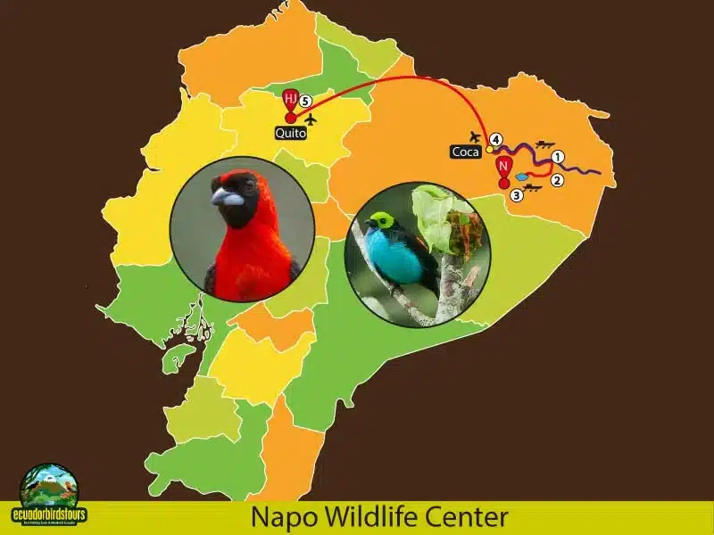 napo wildlife center birding map 7ec90706