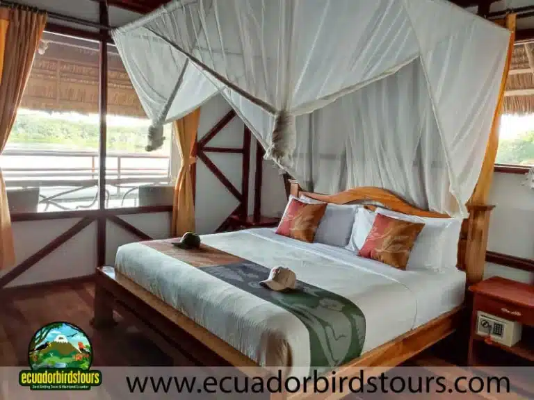 napo wildlife center by ecuador birds tours 91c27c4b
