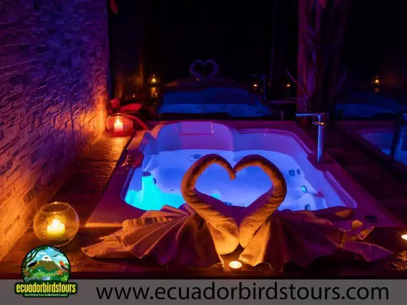 napo wildlife center amazon lodge by ecuador birds tours jacuzzi 3b39e633