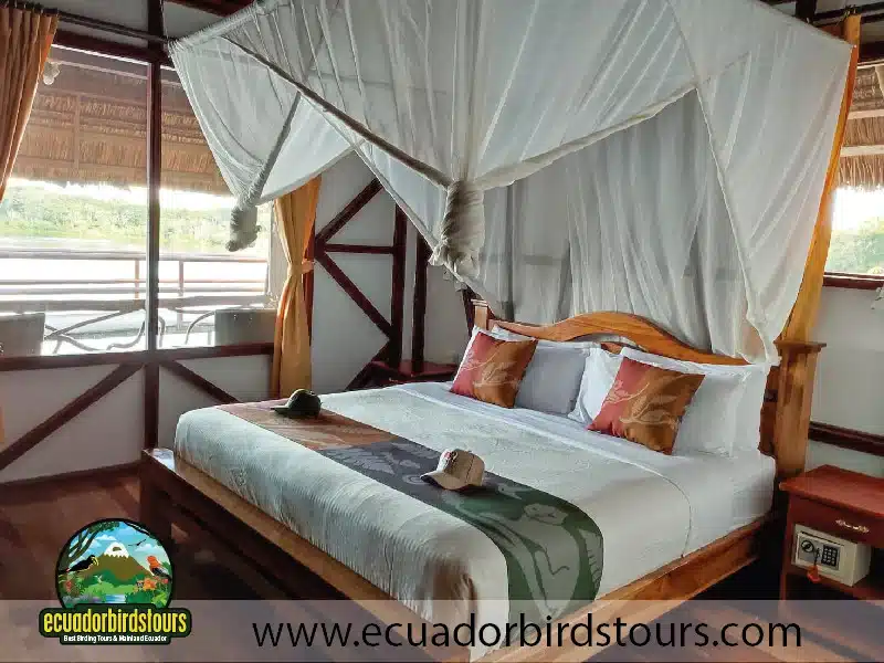 napo wildlife center amazon lodge by ecuador birds tours queen room e90b0b58