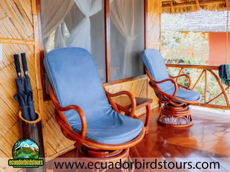 napo wildlife center amazon lodge by ecuador birds tours standard cabin 1cc190d9