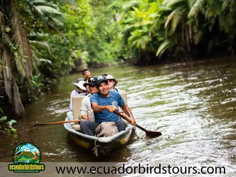 napo wildlife center amazon lodge by ecuador birds tours 11 98f31c97