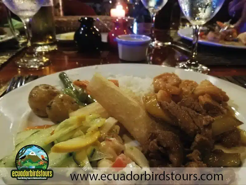 napo wildlife center amazon lodge by ecuador birds tours 29 11950a6b