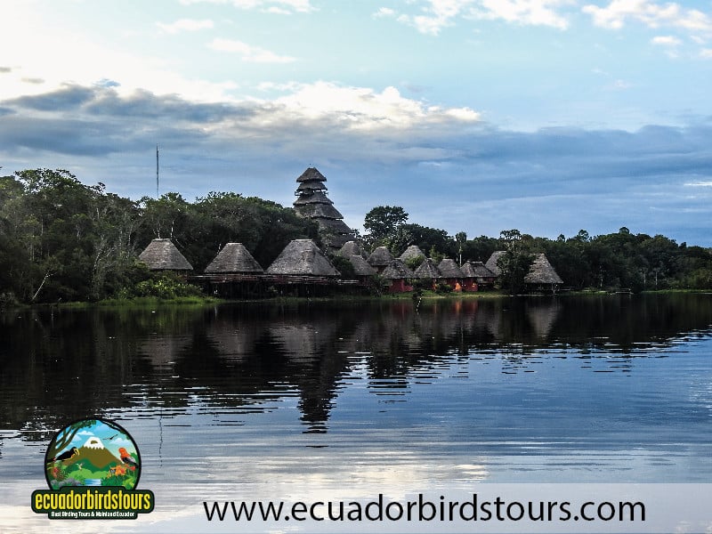 napo wildlife center lodge 2