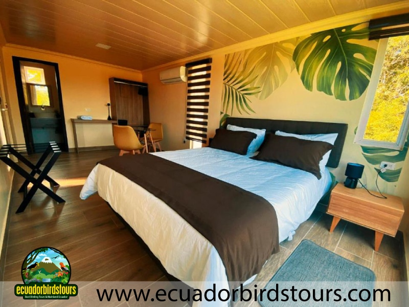 ojo agua room birding lodges